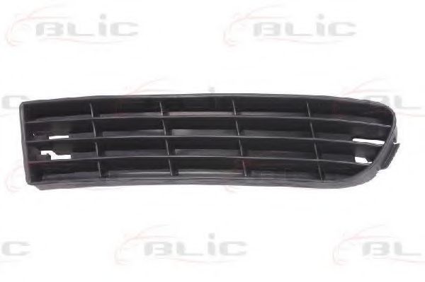 BLIC 6502-07-0013995P