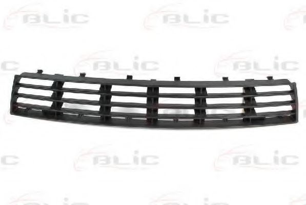 BLIC 6502-07-0018999P