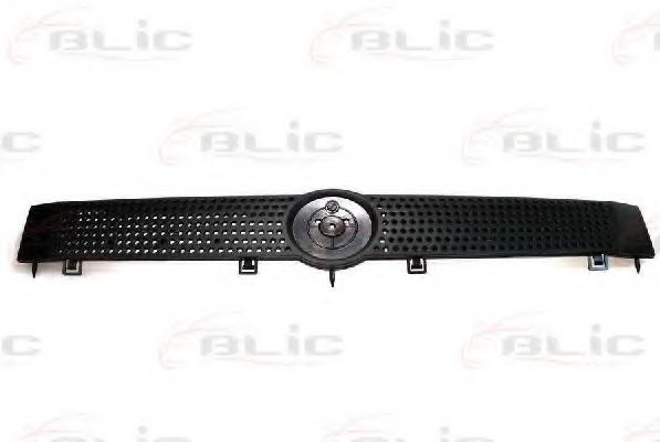 BLIC 6502-07-2008990P