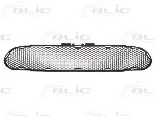 BLIC 6502-07-2530998P