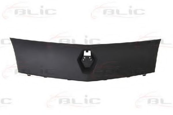 BLIC 6502-07-6011990P