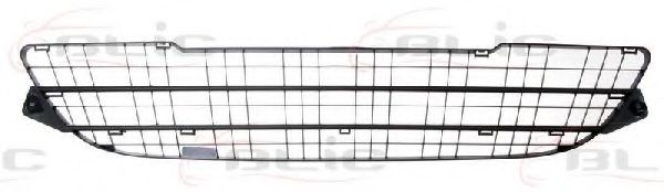 BLIC 6502-07-6011995P