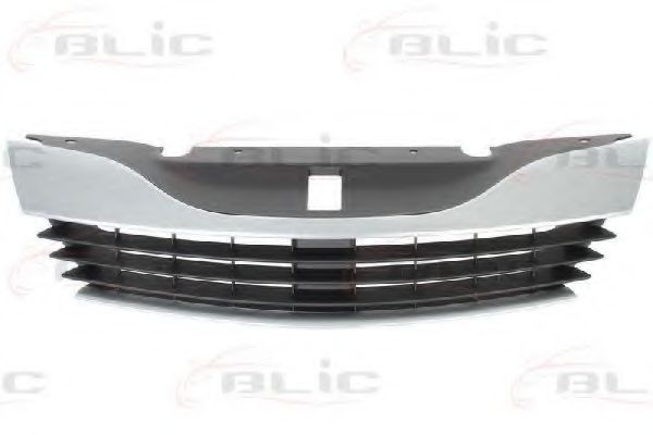 BLIC 6502-07-6055990P