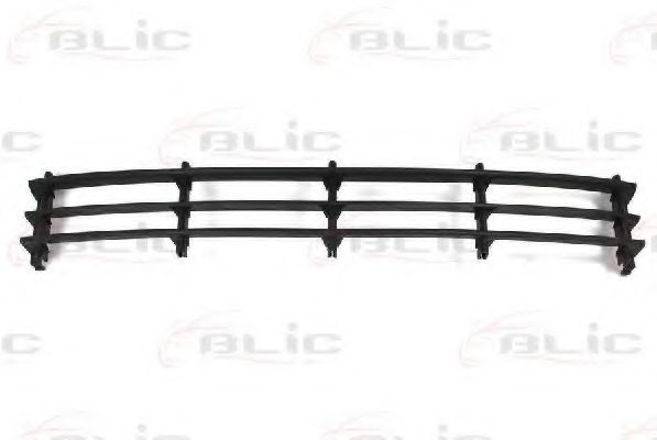 BLIC 6502-07-7521996P