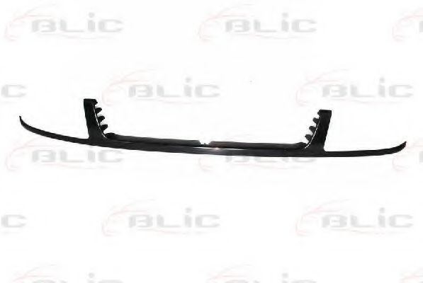 BLIC 6502-07-9505210P