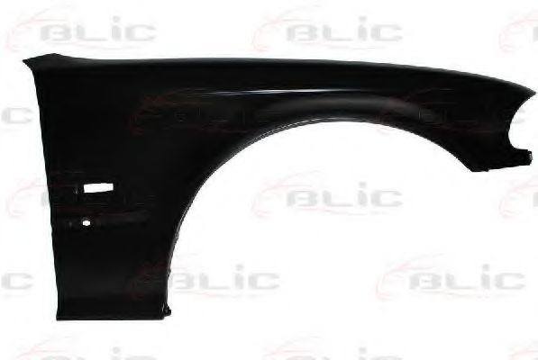 BLIC 6504-04-0061312P