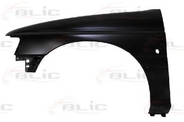 BLIC 6504-04-2530311P