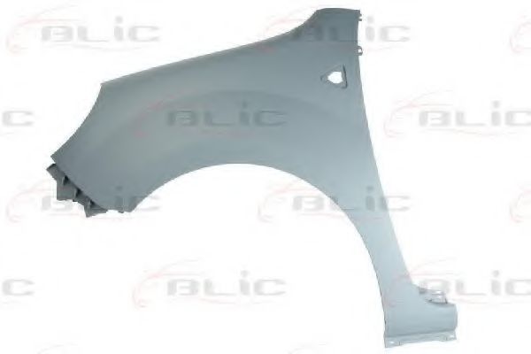 BLIC 6504-04-6011311P