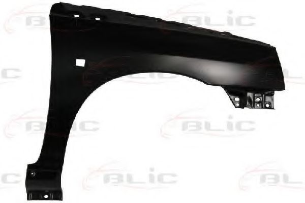 BLIC 6504-04-6031312P