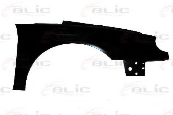 BLIC 6504-04-6049314P