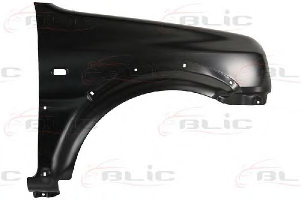 BLIC 6504-04-6842312P