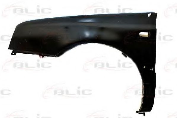 BLIC 6504-04-9522313P