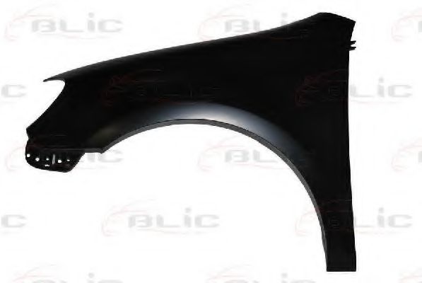 BLIC 6504-04-9534311P