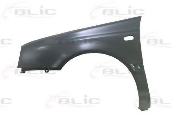 BLIC 6504-04-9542313P