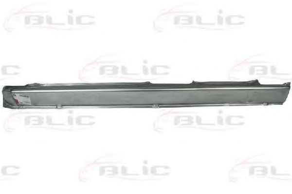 BLIC 6505-06-2530011P