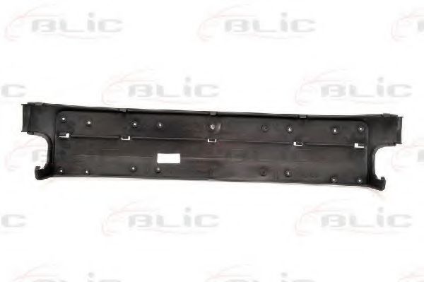 BLIC 6509-01-0060929P