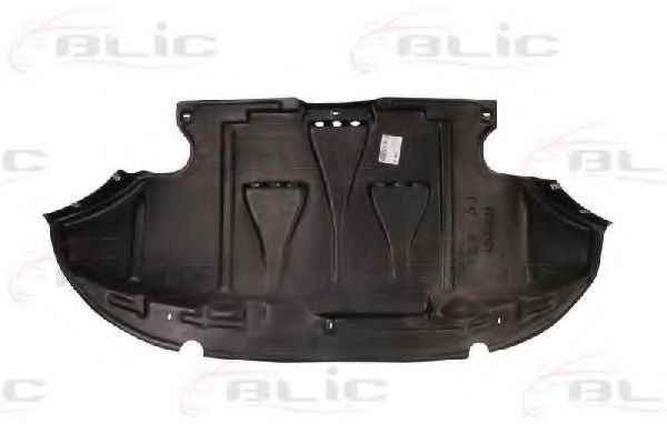 BLIC 6601-02-0018861P