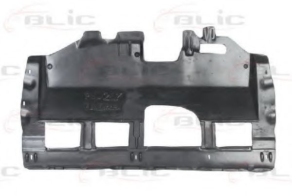 BLIC 6601-02-5508860P