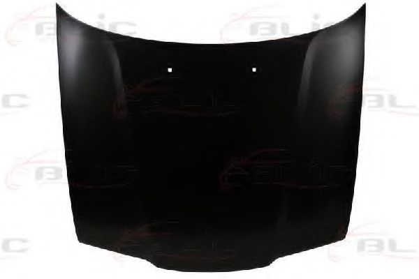 BLIC 6803-00-0060280P