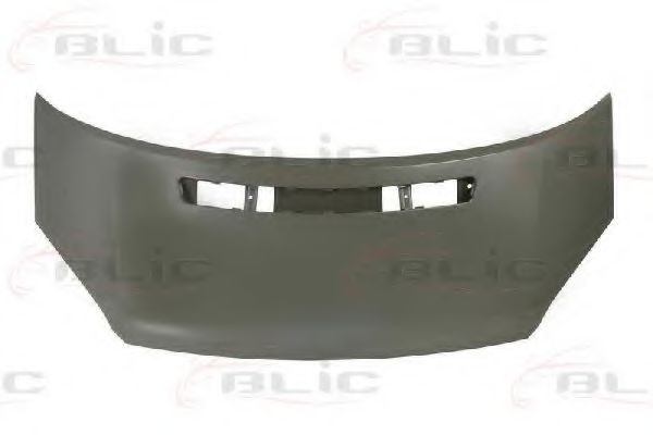 BLIC 6803-00-2510280P