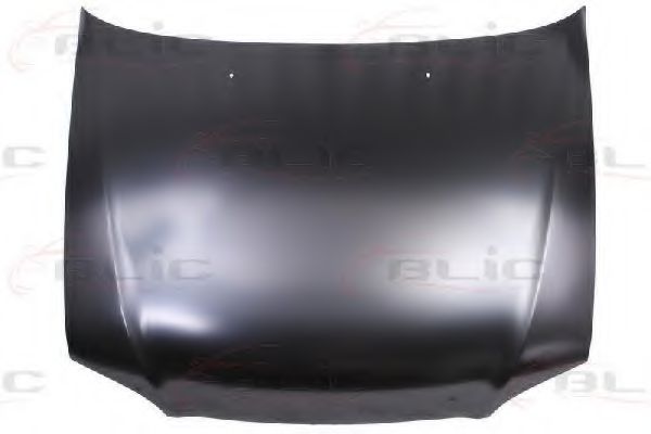 BLIC 6803-00-3154281P