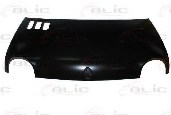 BLIC 6803-00-6005280P