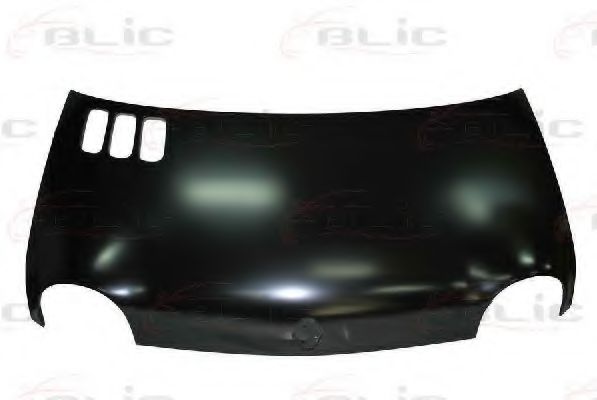 BLIC 6803-00-6005281P