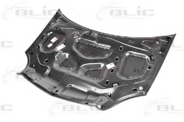 BLIC 6803-00-6010281P