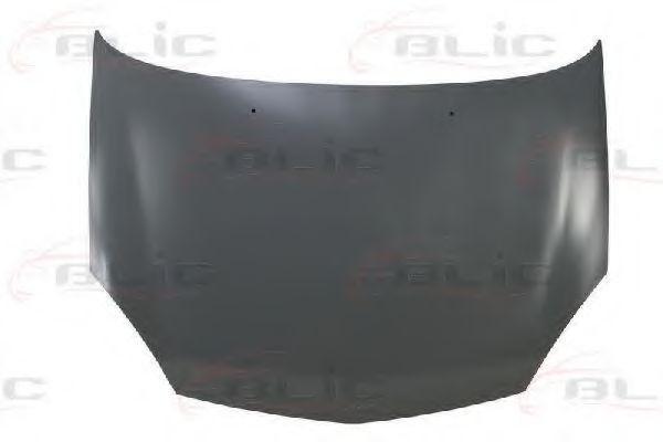 BLIC 6803-00-6032281P