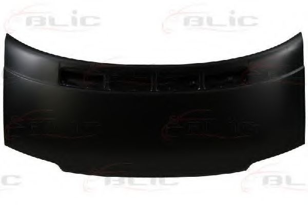 BLIC 6803-00-9558280P