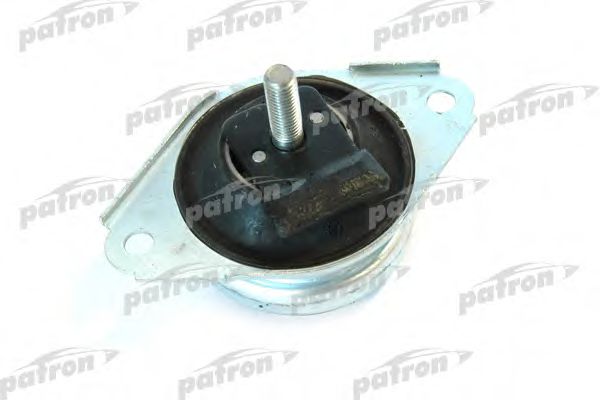PATRON PSE3013