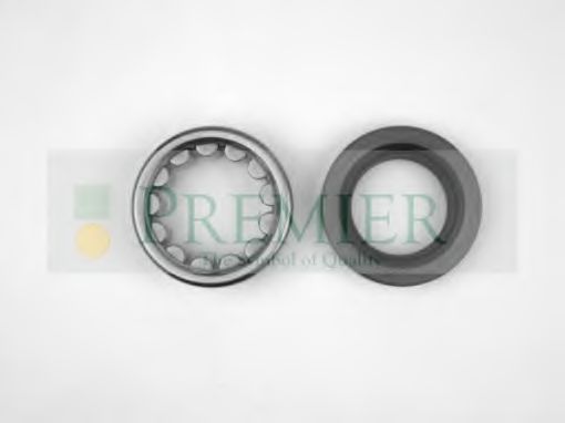 BRT Bearings PWK0193