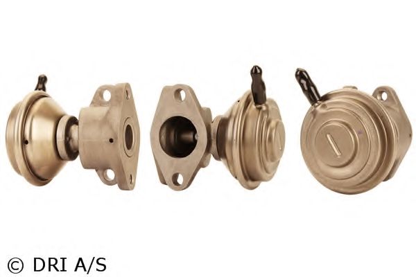 DRI 717710107