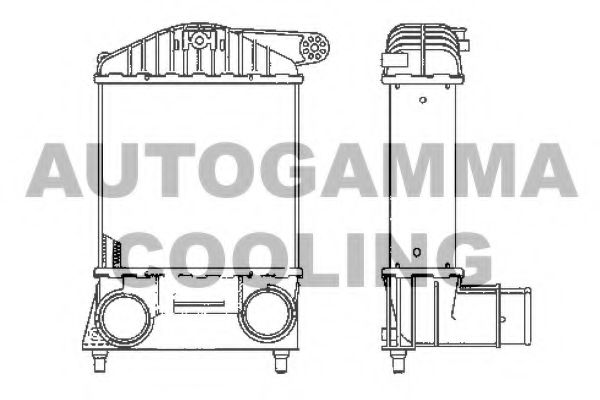 AUTOGAMMA 101896