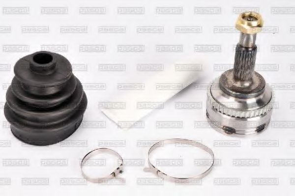 PASCAL G1R022PC