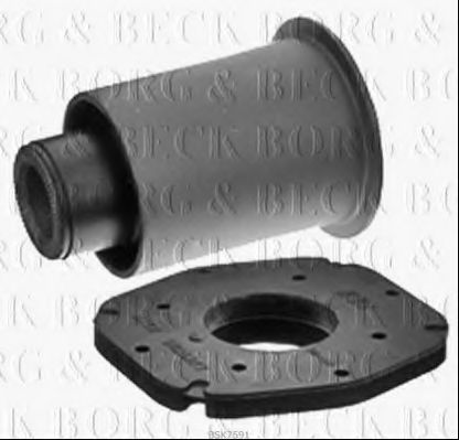 BORG & BECK BSK7591