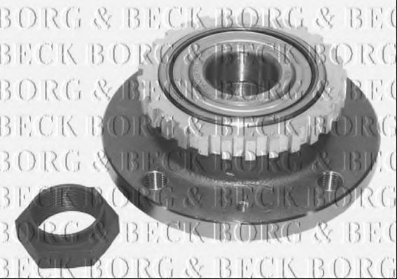 BORG & BECK BWK491