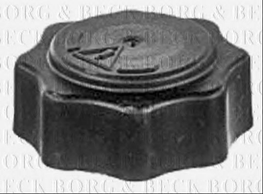 BORG & BECK BRC137