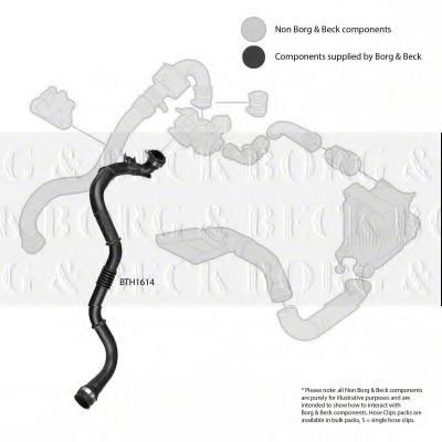 BORG & BECK BTH1614
