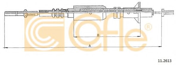COFLE 11.2613