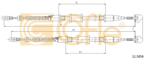 COFLE 11.5856