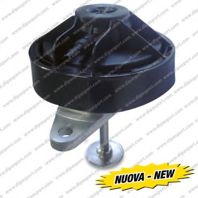 DIPASPORT EGR008N