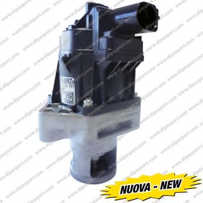 DIPASPORT EGR012N