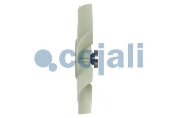 COJALI 7085115