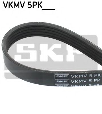 SKF VKMV 5PK491