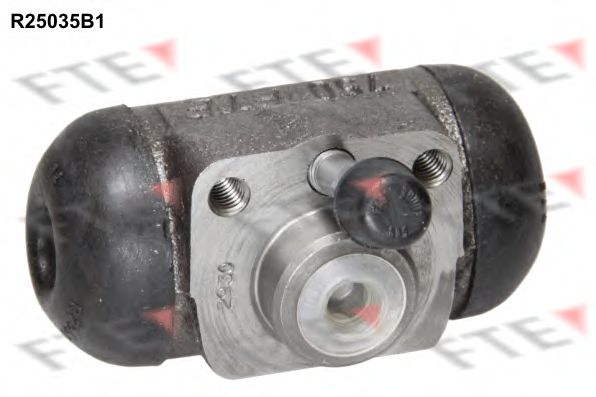 FTE R25035B1