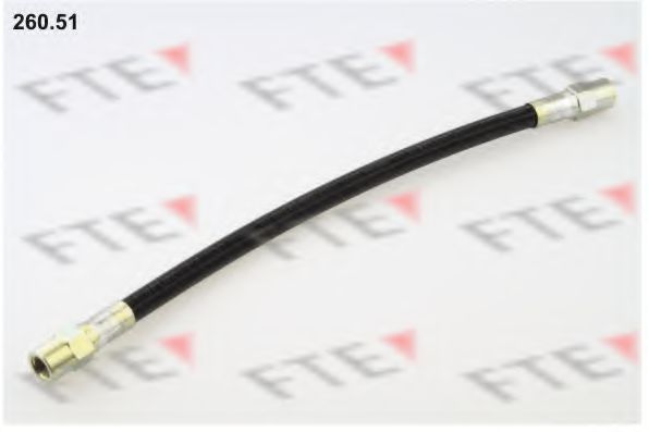 FTE 260.51