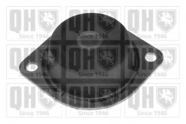 QUINTON HAZELL EM1749