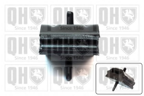 QUINTON HAZELL EM1896