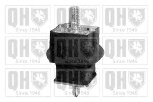 QUINTON HAZELL EM2006